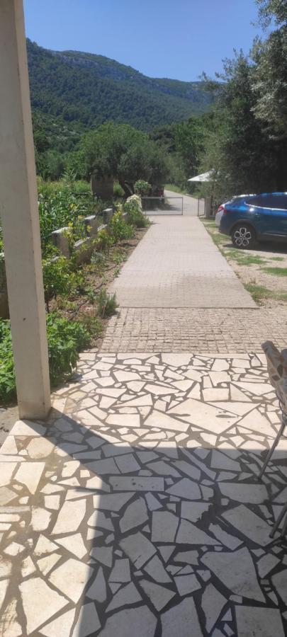 Apartmani Maslina Žuljana المظهر الخارجي الصورة