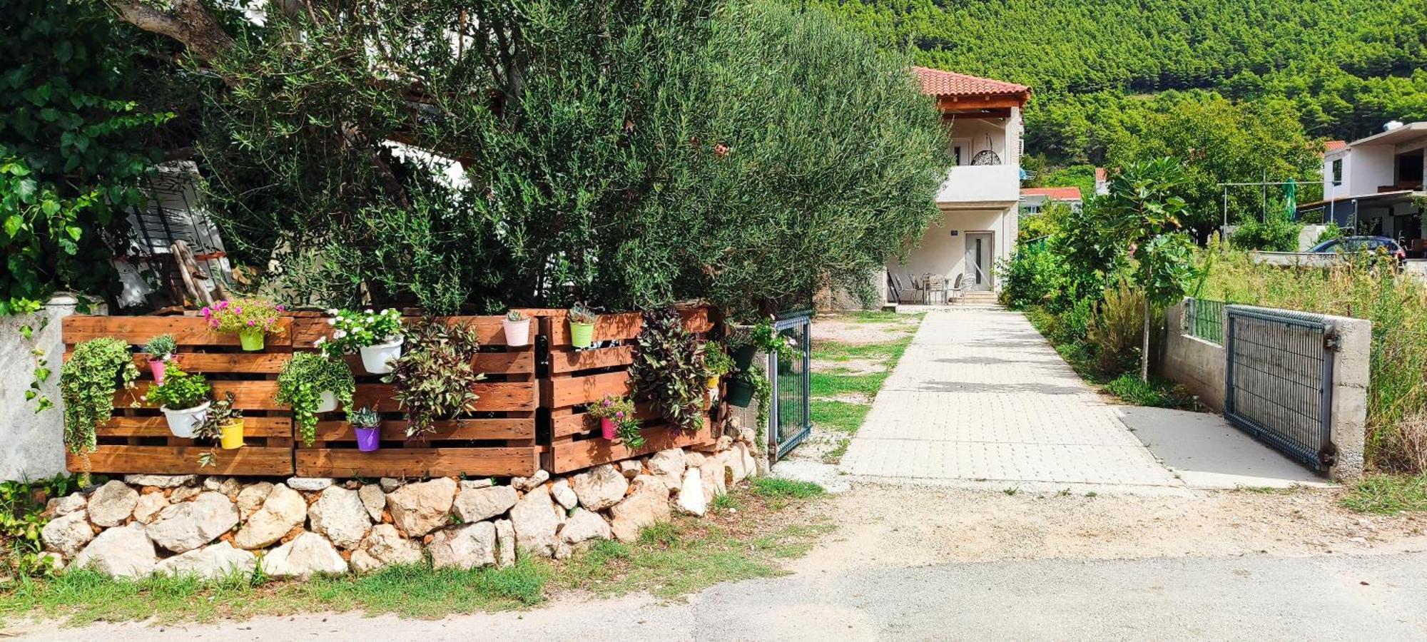 Apartmani Maslina Žuljana المظهر الخارجي الصورة
