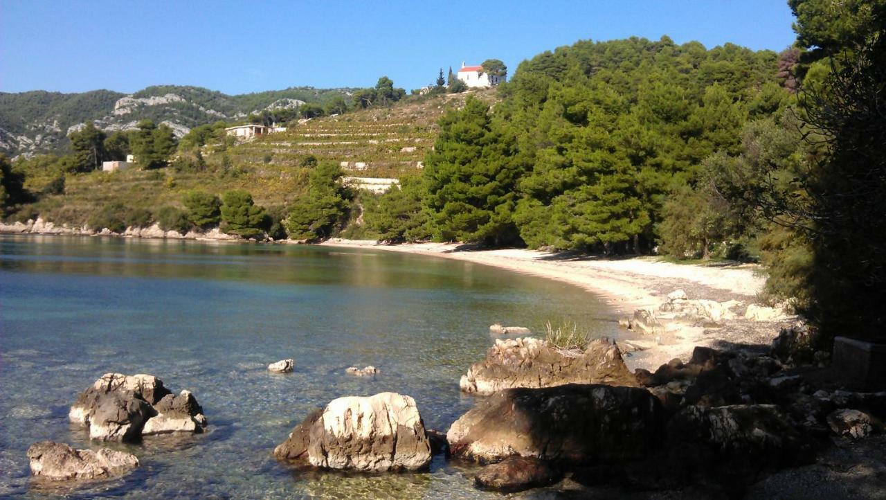 Apartmani Maslina Žuljana المظهر الخارجي الصورة